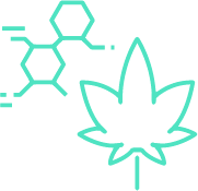 cannabidiol-info2